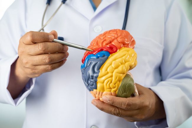 Qué es el alzhéimer